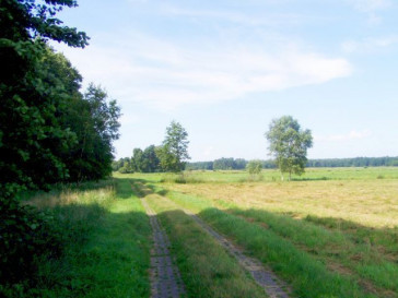 Działka Sprzedaż Nowe Warpno