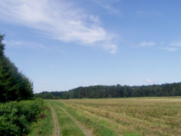 Działka Sprzedaż Nowe Warpno