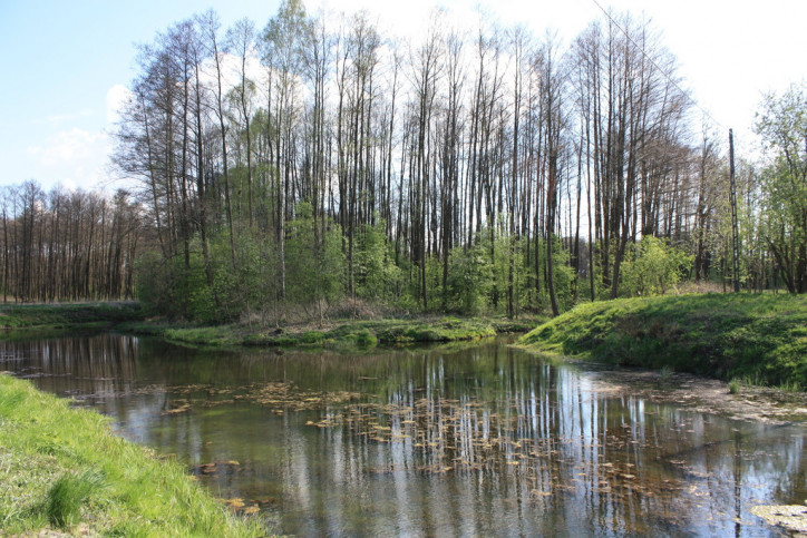 Obiekt Sprzedaż Świdwin 15