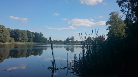 Działka Sprzedaż Radzanek 10