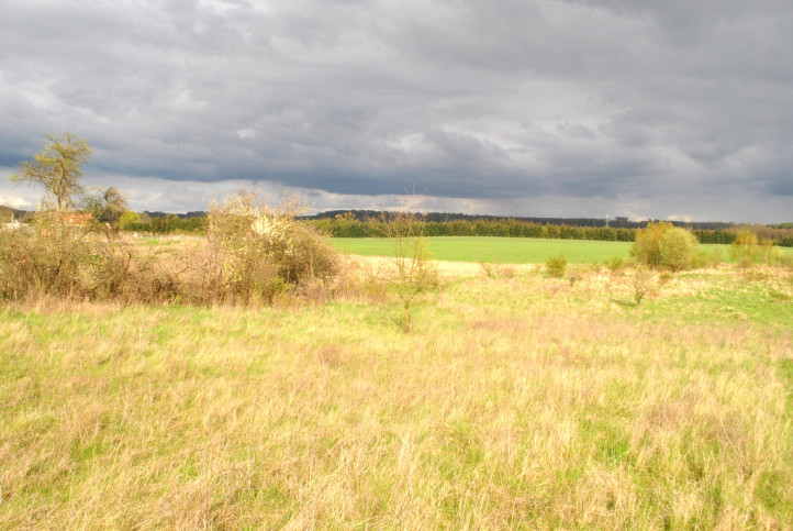 Działka Sprzedaż Binowo 3