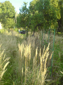 Działka Sprzedaż Bielinek