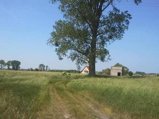 Działka Sprzedaż Lubczyna 3