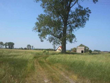 Działka Sprzedaż Lubczyna