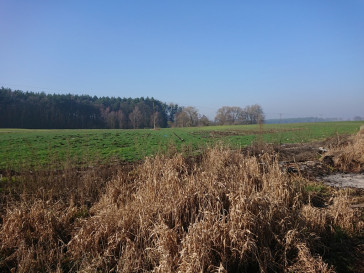 Działka Sprzedaż Raduń