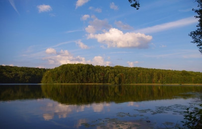 Działka Sprzedaż Komorze