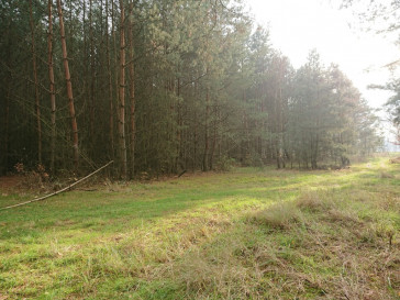 Działka Sprzedaż Starzyce