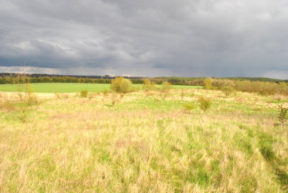 Działka Sprzedaż Binowo