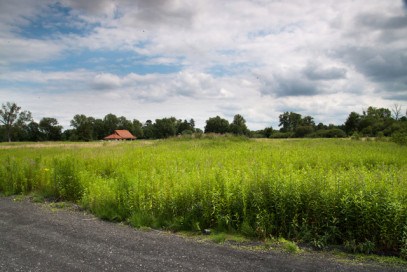 Działka Sprzedaż Zieleniewo