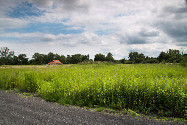 Działka Sprzedaż Zieleniewo 3