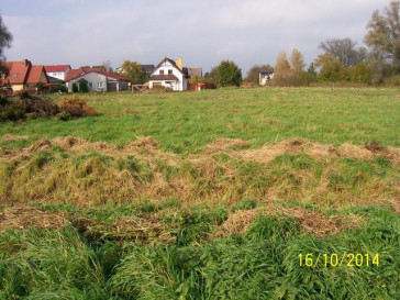 Działka Sprzedaż Choszczno