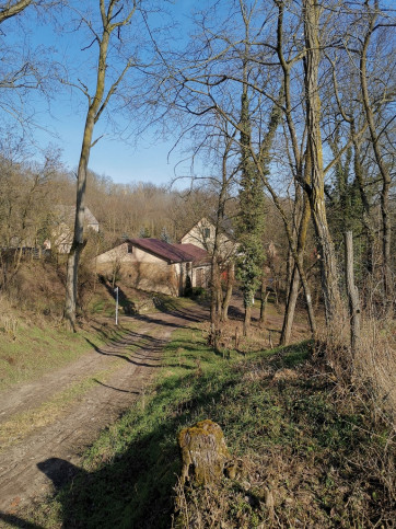 Obiekt Sprzedaż Stary Kostrzynek 14