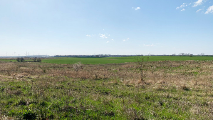 Działka Sprzedaż Siadło Górne 2