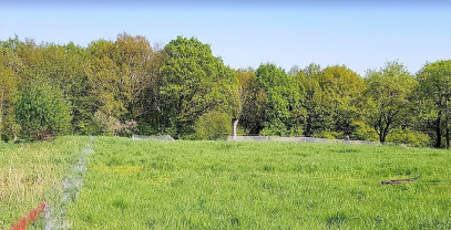 Działka Sprzedaż Szczecin Skolwin