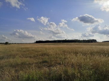 Działka Sprzedaż Wąwelnica