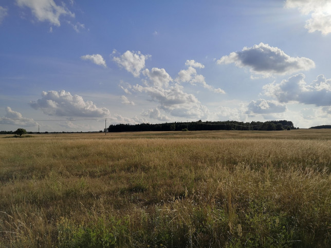 Działka Sprzedaż Wąwelnica 4