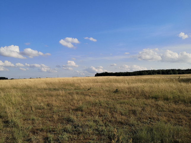 Działka Sprzedaż Wąwelnica 6