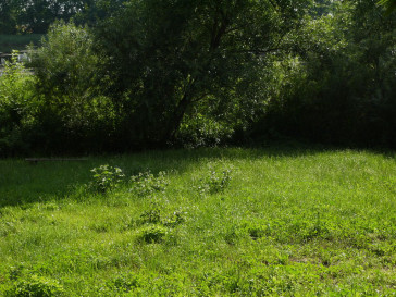 Obiekt Sprzedaż Sulimierz