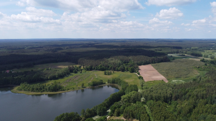 Działka Sprzedaż Piława 10