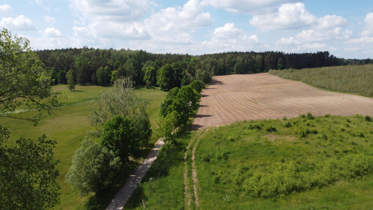 Działka Sprzedaż Piława 22