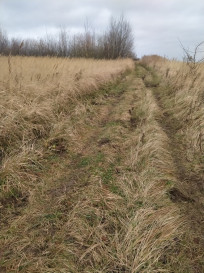 Działka Sprzedaż Szczecin Skolwin