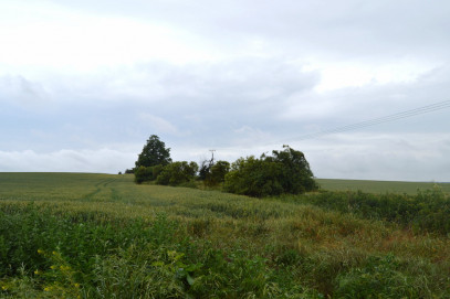 Działka Sprzedaż Kamieniec