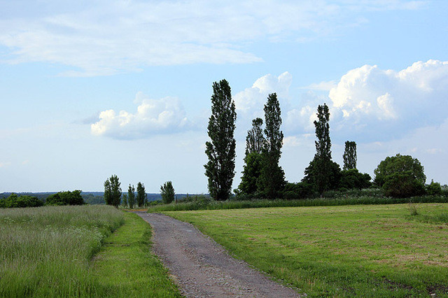 Działka Sprzedaż Bobolin 2