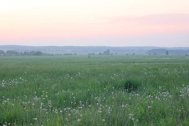 Działka Sprzedaż Bobolin 10