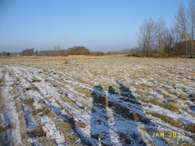 Działka Sprzedaż Brzózki 2