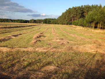 Działka Sprzedaż Przybiernów