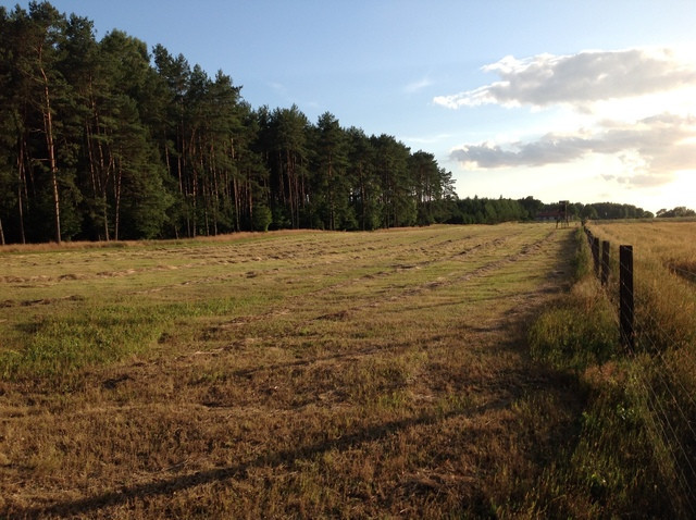 Działka Sprzedaż Przybiernów 3