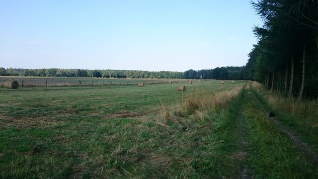 Działka Sprzedaż Przybiernów 4