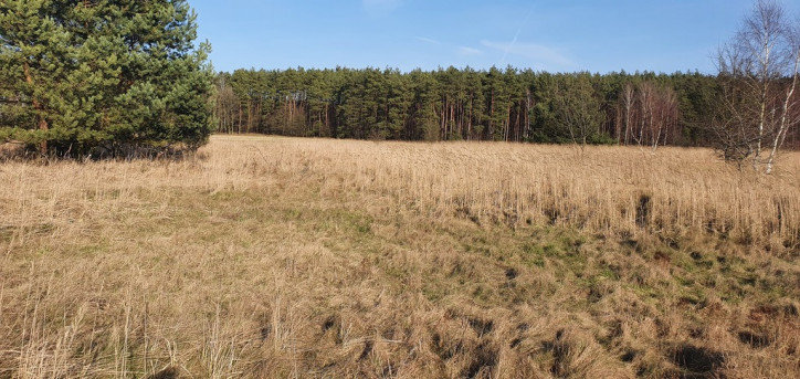 Działka Sprzedaż Białuń 1