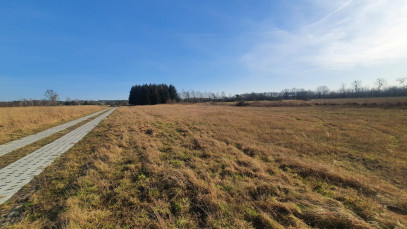 Działka Sprzedaż Białuń