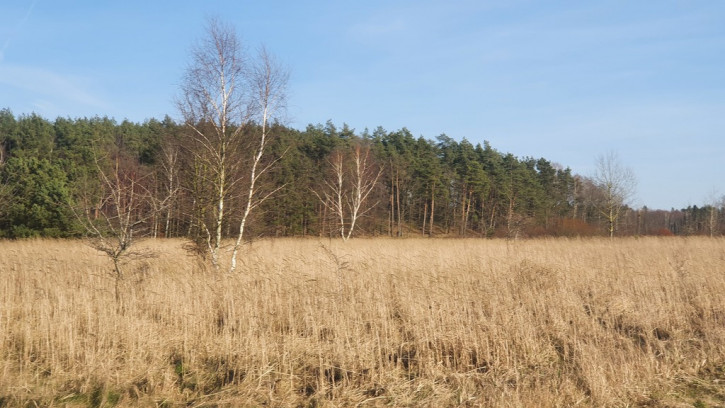 Działka Sprzedaż Białuń 8