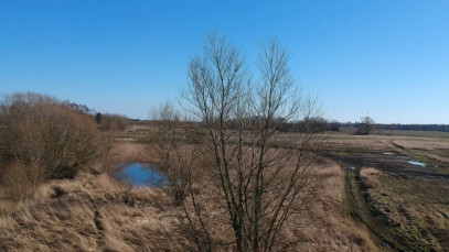 Działka Sprzedaż Szczecin Skolwin