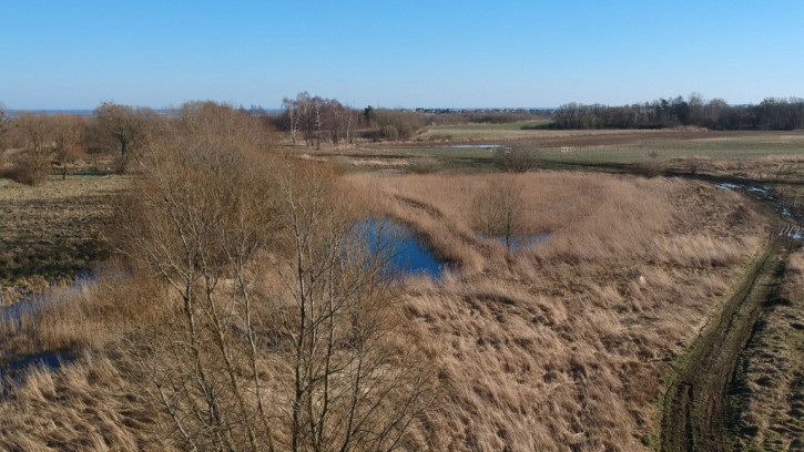 Działka Sprzedaż Szczecin Skolwin 5