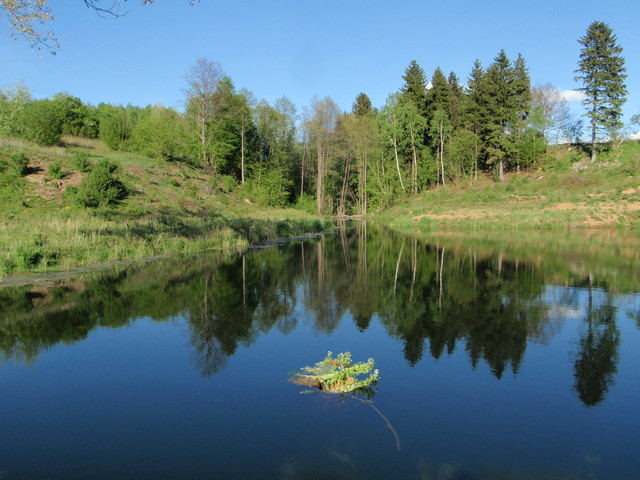 Działka Sprzedaż Bobolice 13