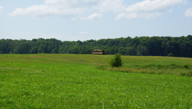 Działka Sprzedaż Bobolice 1