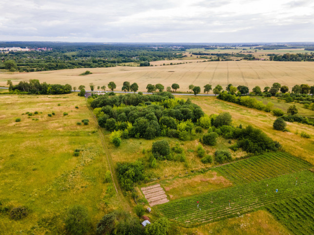 Działka Sprzedaż Szczecinek 5