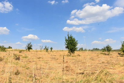 Działka Sprzedaż Kłodowo