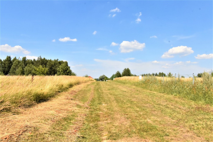 Działka Sprzedaż Kłodowo 13