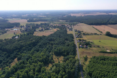 Działka Sprzedaż Krzywice