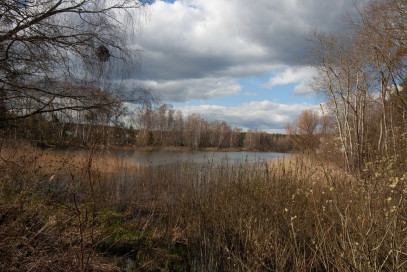 Dom Sprzedaż Bartoszewo