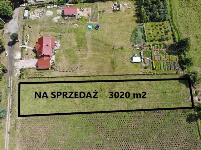 Działka Sprzedaż Krępsko 1