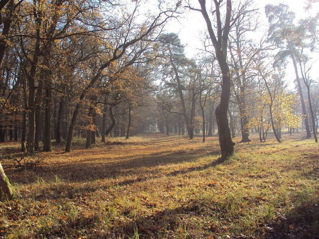 Działka Sprzedaż Rzędziny 7