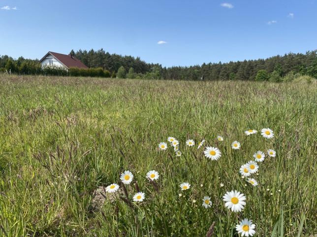 Działka Sprzedaż Przybiernów 2