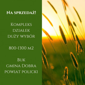 Działka Sprzedaż Buk