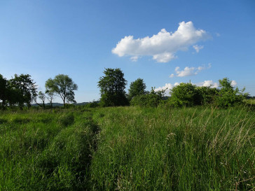 Działka Sprzedaż Binowo