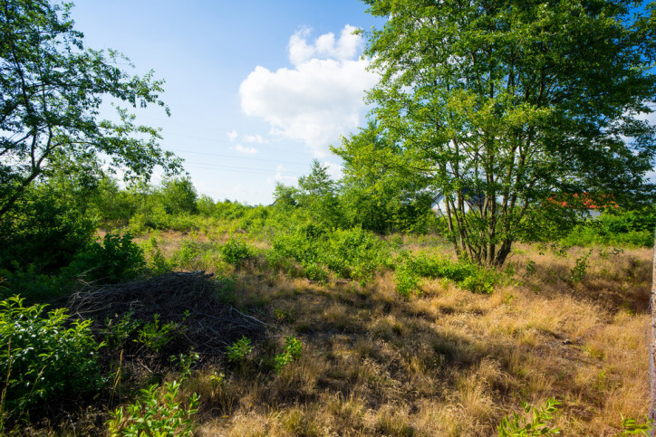 Działka Sprzedaż Rurzyca 3